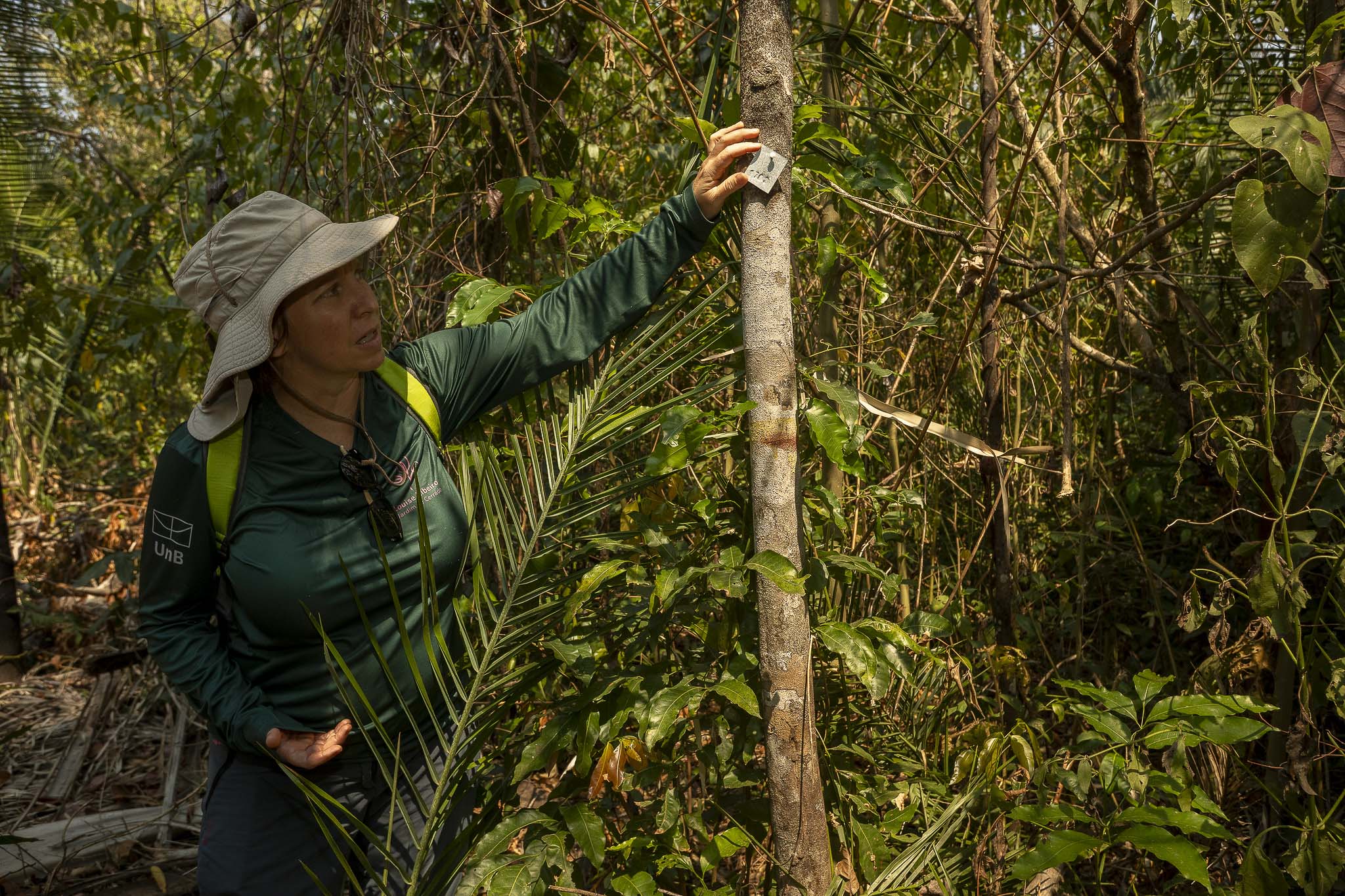 Imagem Expedição Chap Guim - ESEC Serra das Araras--65 da expedição de expedicoes/araras_25